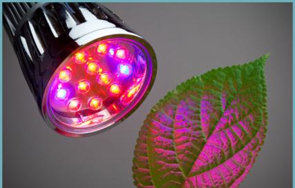 Ako si vybrať správnu lampu na osvetlenie sadeníc