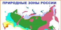 Natural zone of the Russian steppe: where it is located, map, climate, soils, flora and fauna Medium tanks, how to play WOT